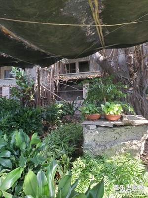 【四月你好】+阿莫莫真美