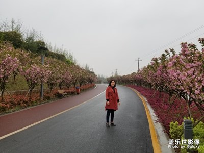 【四月你好】+美麗仙人嶺湖