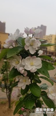 【四月你好】+邢臺也春天