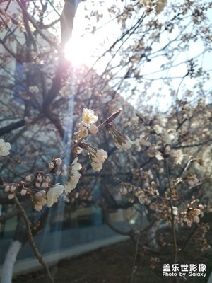【四月你好】今天和煦春風(fēng)