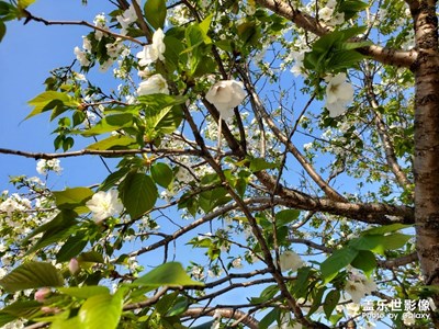 天氣非常好 很適合出去玩