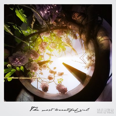 唯一的心情，唯一的美麗