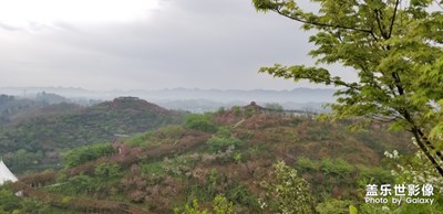 原來note8也可以拍出這么美