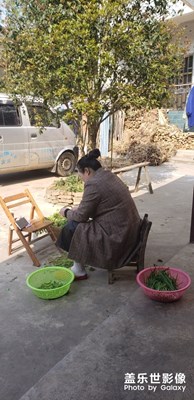 生活