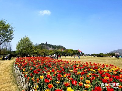 【四月你好】+辰山植物園
