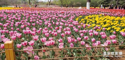 濟(jì)南植物園