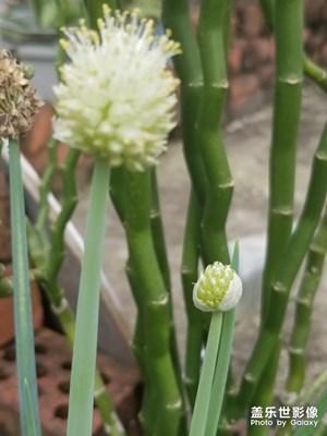 隨手一拍