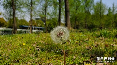 【四月.春與夏】