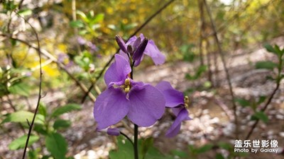 【陽(yáng)光的味道】+隨手拍一拍