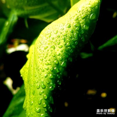 以前的照片發(fā)幾個(gè)