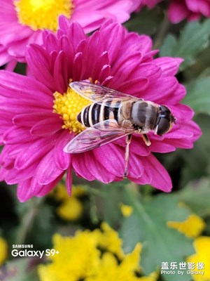 一個業(yè)余攝影小白的感慨