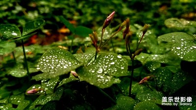 翻到以前的照片.發(fā)幾個(gè)