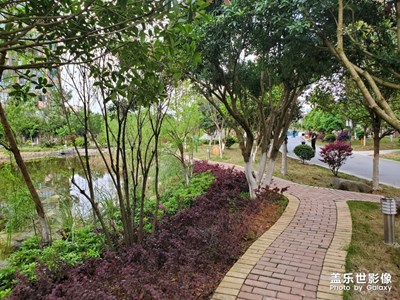 這兩天天氣很好呢