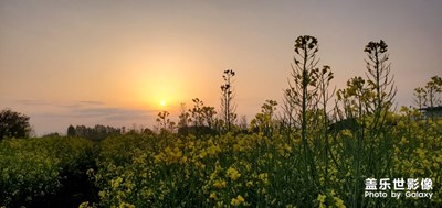 【陽(yáng)光的味道】+相約黃昏后
