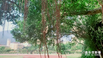 s10圖片編輯器確實(shí)不錯(cuò)！