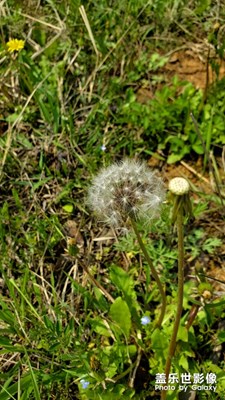 【陽光的味道】+大山深處