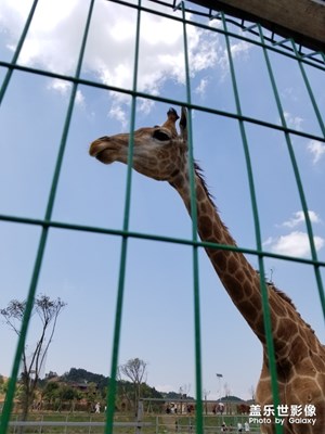 【陽光的味道】+陽光明媚