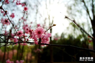 【陽光的味道】北京奧林匹克森林公園隨拍