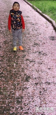A系列定位在哪里？！