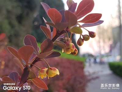 #死侍拍攝# 天津高新區(qū)一角