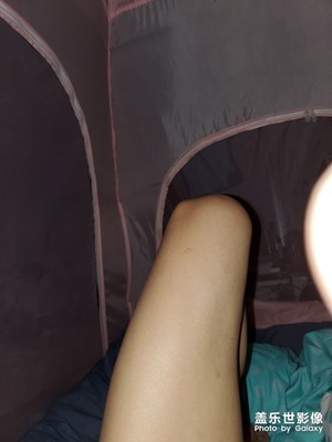 客觀評測S10+ S8+兩機實拍照片