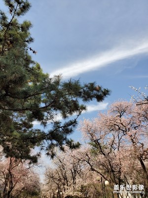 美麗鞍山二一九公園