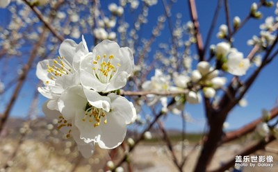 【陽(yáng)光的味道】+春天的微笑