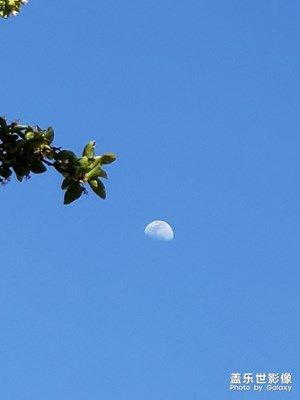 【陽(yáng)光的味道】+日月同輝