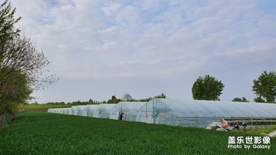 【在路上】+一路風(fēng)光一路詩(shī)