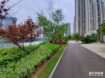 施家港公園