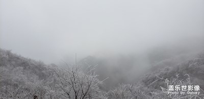 最美不過