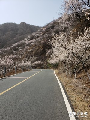 拿著s9去拍照（業(yè)余·真）