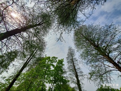 武漢植物園風光