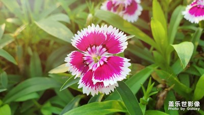 #s10+ 記錄生活的美好時(shí)光