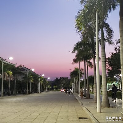 隨手拍