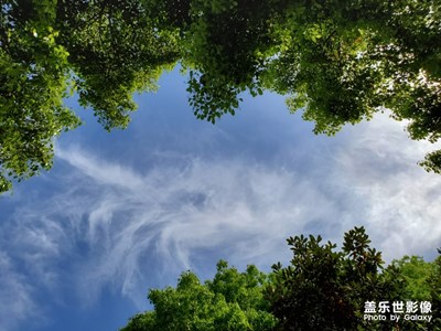 今天天氣好，藍(lán)天白云?。。?！