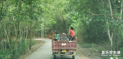 鄉(xiāng)村一景