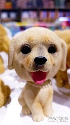 萌萌噠的小可愛(ài)