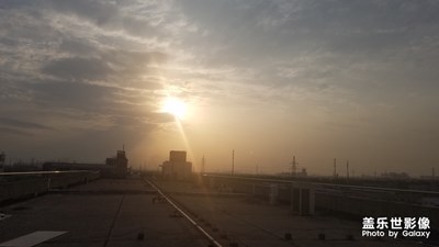 【不負好春光】花開花落，留一人