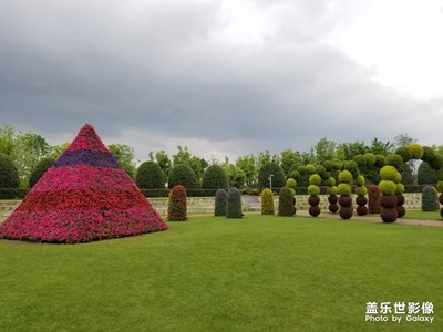 【不負好春光】+春天的魅力