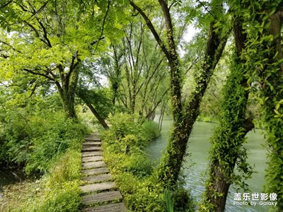 杭州西溪濕地公園