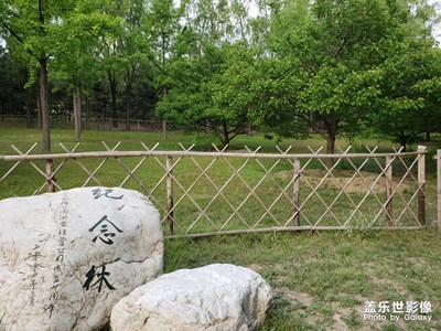 【不負(fù)好春光】+春光無(wú)限好