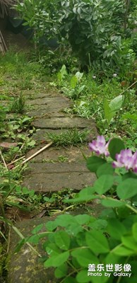 曲徑通幽