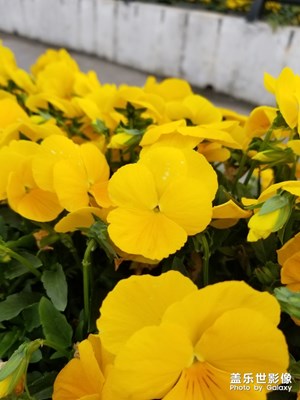 好的相機(jī)就要拿起就拍