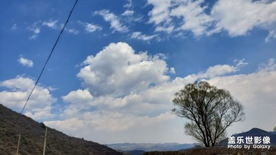 【不負(fù)好春光】+追隨春天的腳步