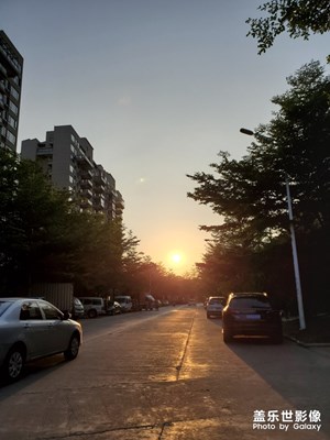 夕陽(yáng)