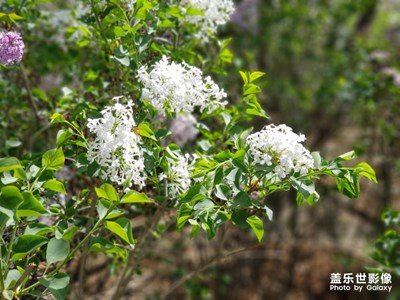 就這么隨手一拍
