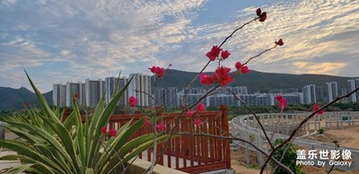 高園水庫濕地公園