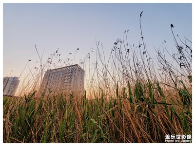 清明假期回鄉(xiāng)