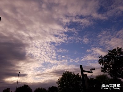 【不負(fù)好春光】+愛(ài)拍自然和伙伴